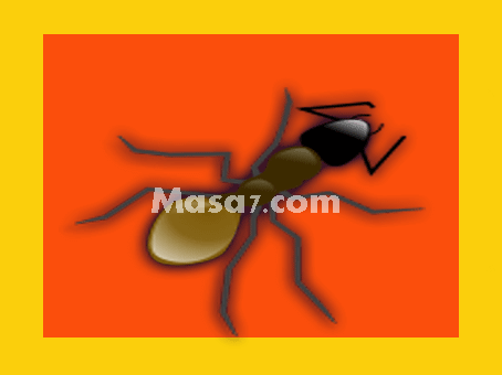 شركة مكافحة النمل الابيض بمكة بخصم 61% شركة الماسة
