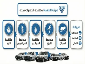 شركة الماسة لمكافحة الحشرات بجدة