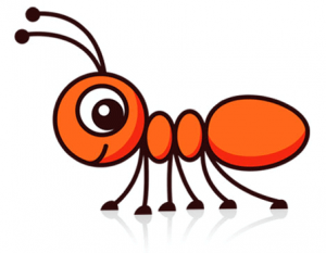 شركة مكافحة النمل الابيض برابغ