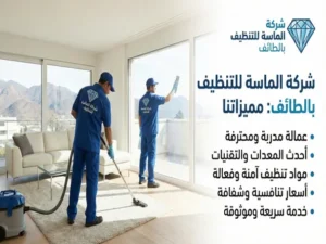 شركة تنظيف بالطائف